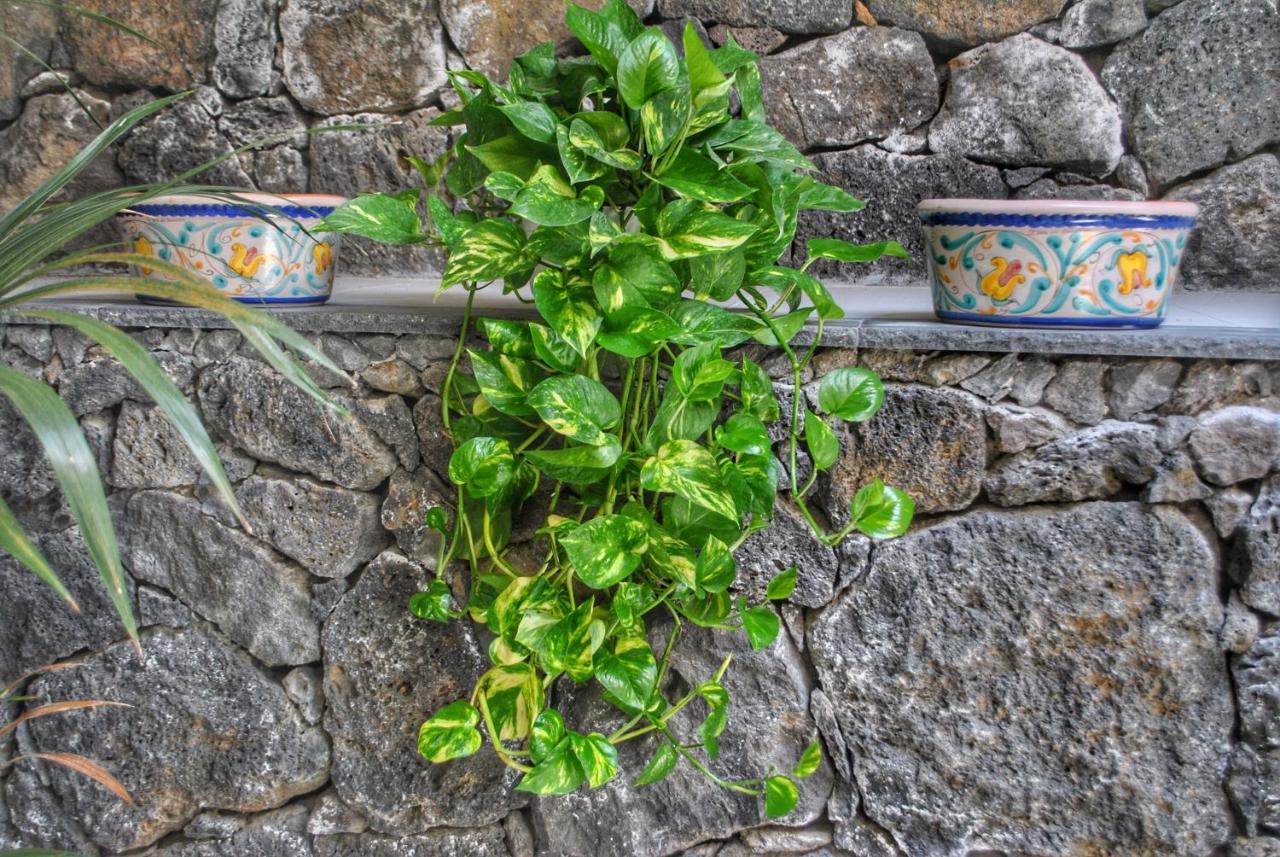 Villa Dedalisa By Holidayngo Acireale Dış mekan fotoğraf
